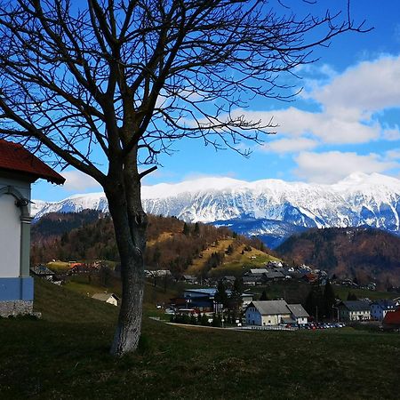 Apartmaji Volf Zgornje Gorje Dış mekan fotoğraf