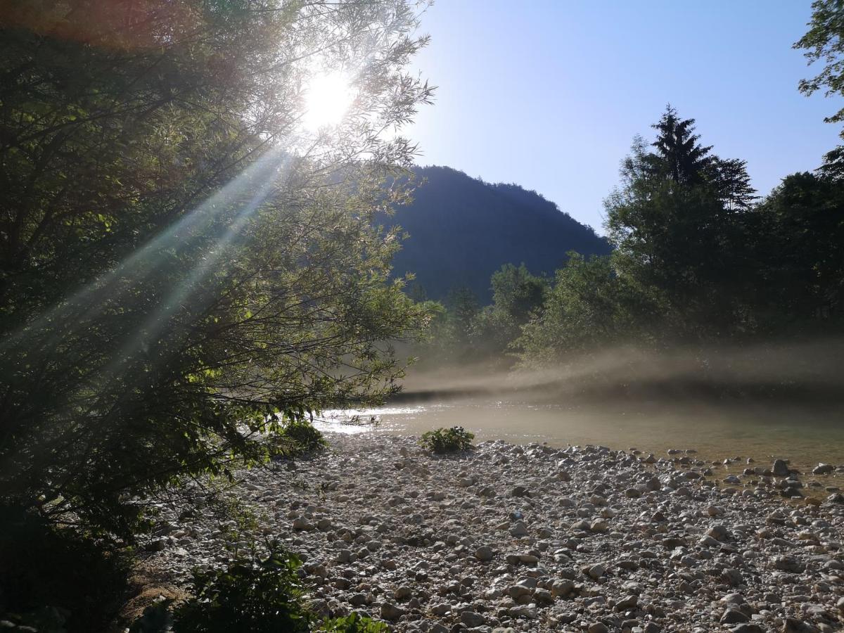 Apartmaji Volf Zgornje Gorje Dış mekan fotoğraf