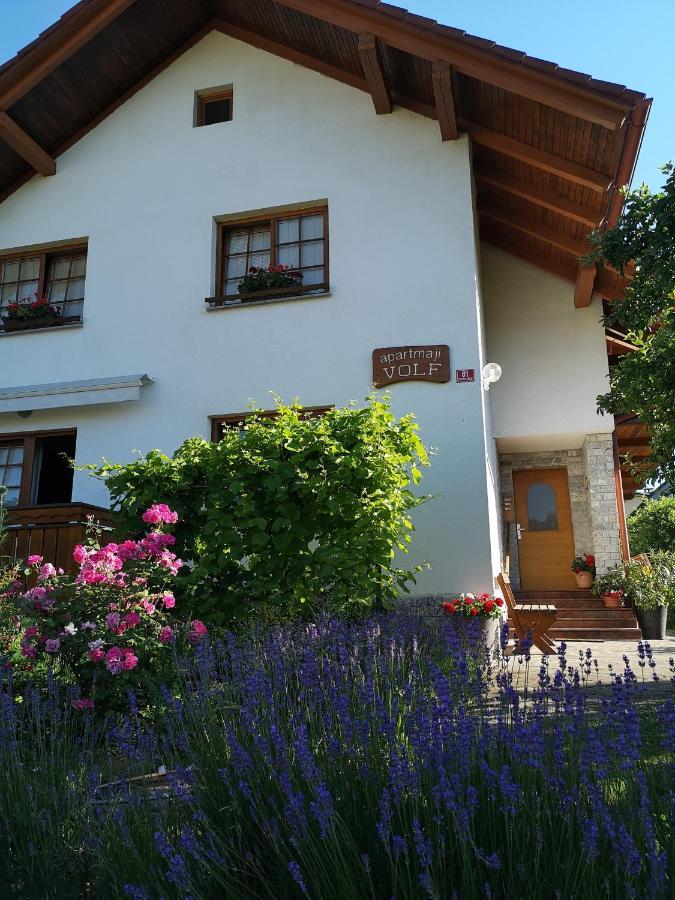 Apartmaji Volf Zgornje Gorje Dış mekan fotoğraf