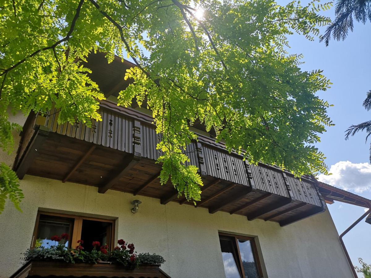 Apartmaji Volf Zgornje Gorje Dış mekan fotoğraf
