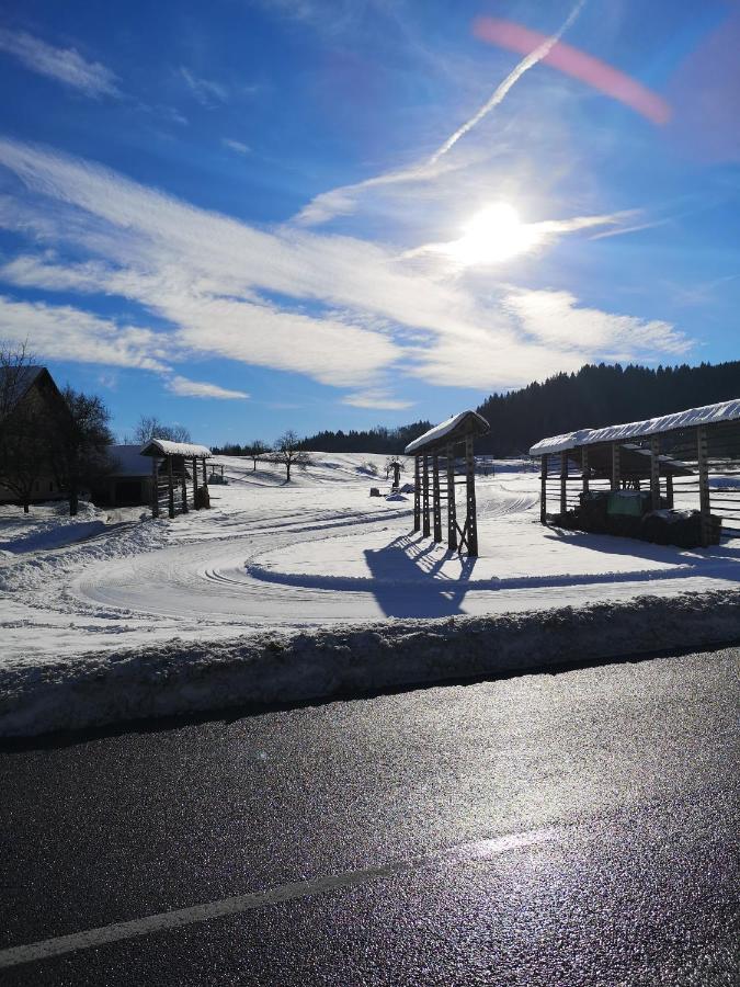 Apartmaji Volf Zgornje Gorje Dış mekan fotoğraf