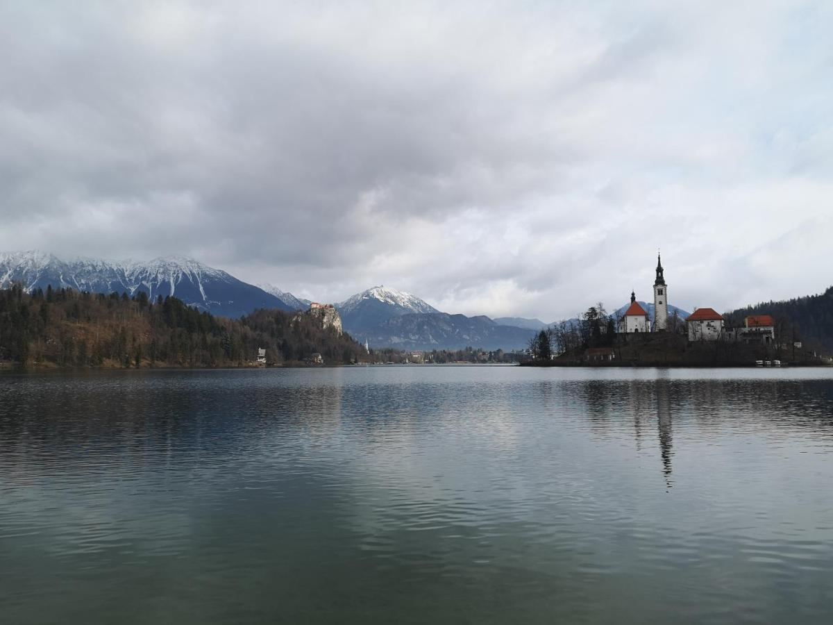 Apartmaji Volf Zgornje Gorje Dış mekan fotoğraf