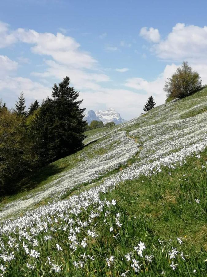 Apartmaji Volf Zgornje Gorje Dış mekan fotoğraf