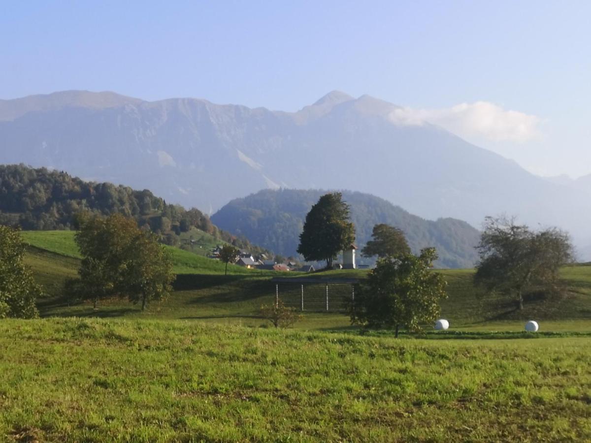 Apartmaji Volf Zgornje Gorje Dış mekan fotoğraf