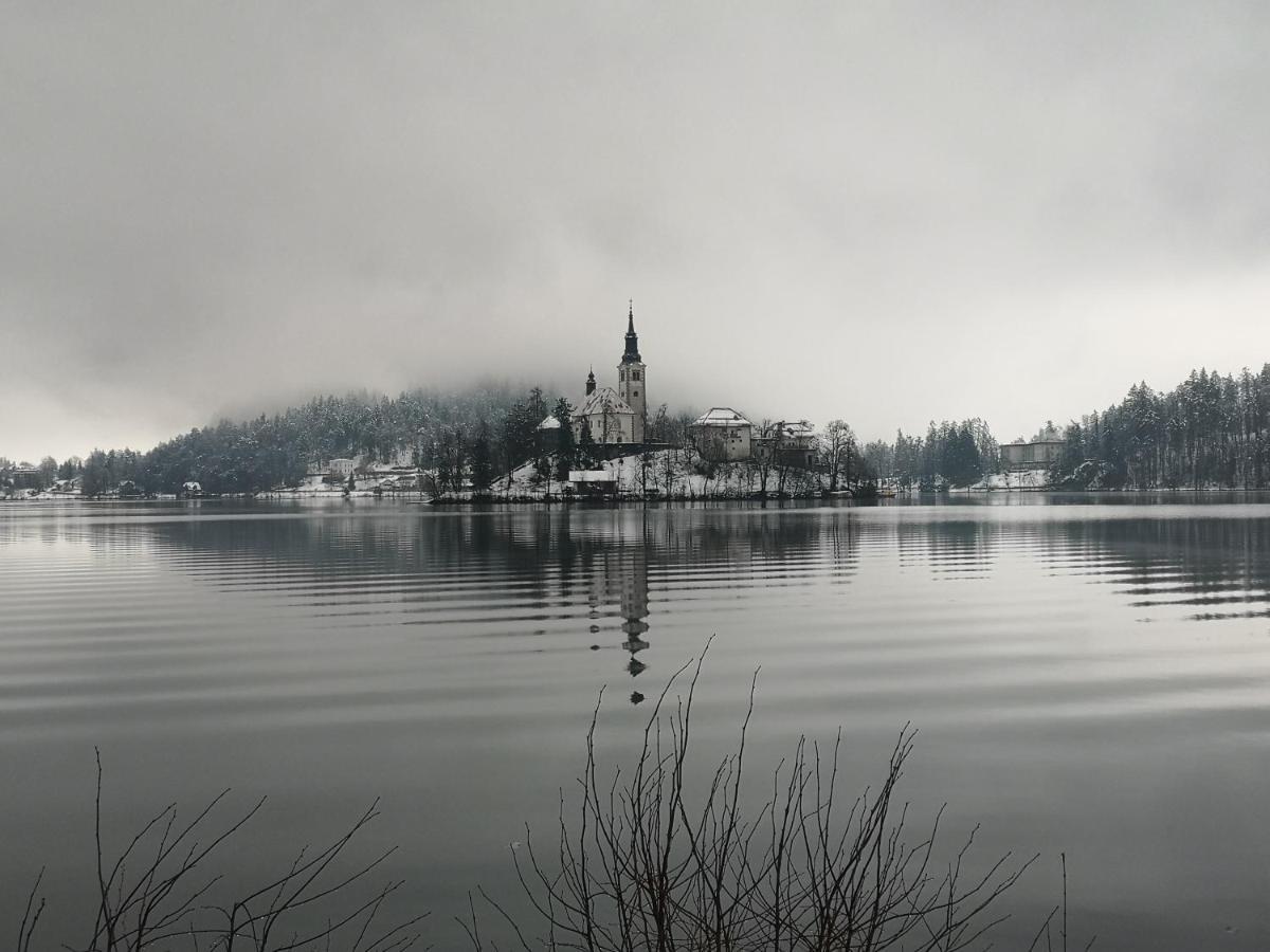 Apartmaji Volf Zgornje Gorje Dış mekan fotoğraf