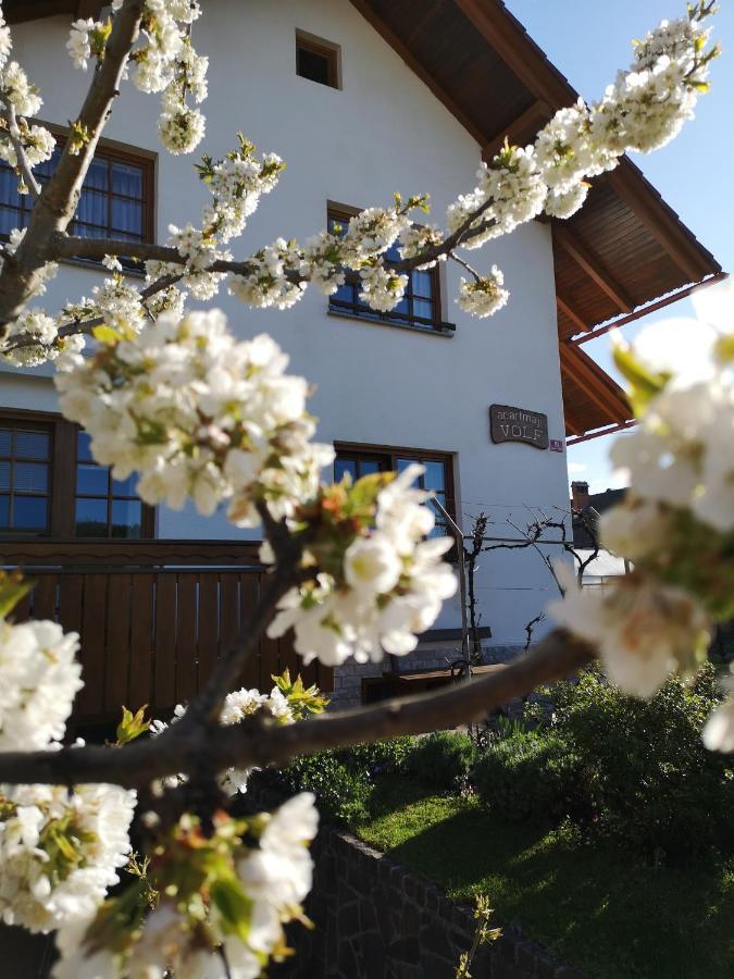 Apartmaji Volf Zgornje Gorje Dış mekan fotoğraf