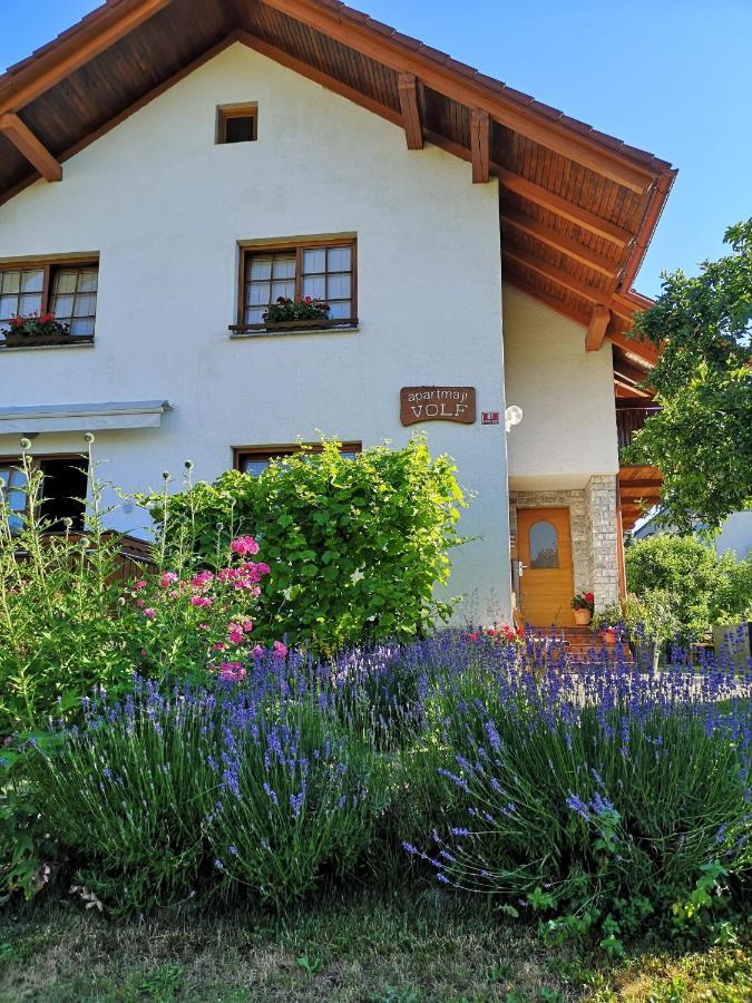 Apartmaji Volf Zgornje Gorje Dış mekan fotoğraf