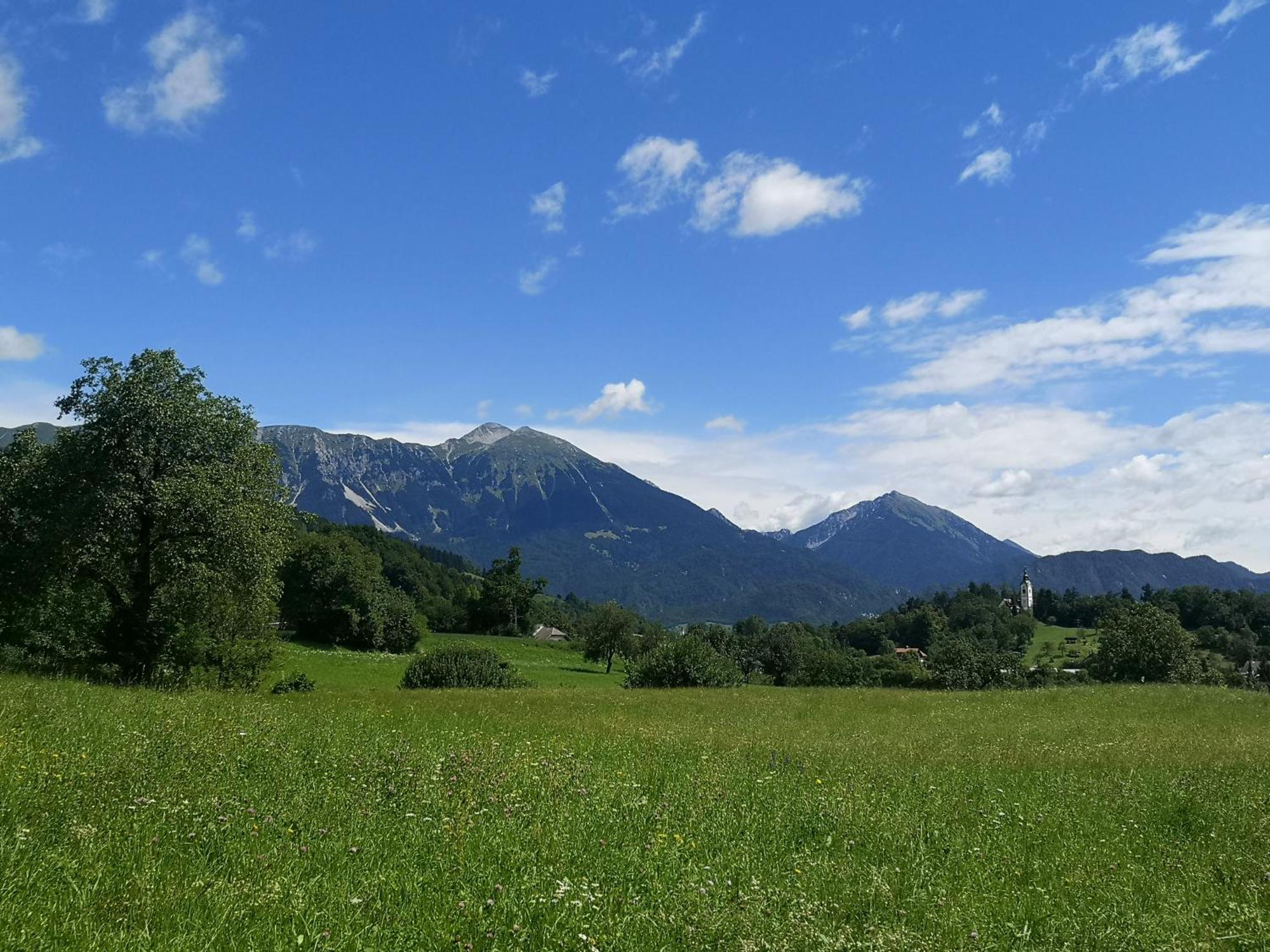 Apartmaji Volf Zgornje Gorje Dış mekan fotoğraf