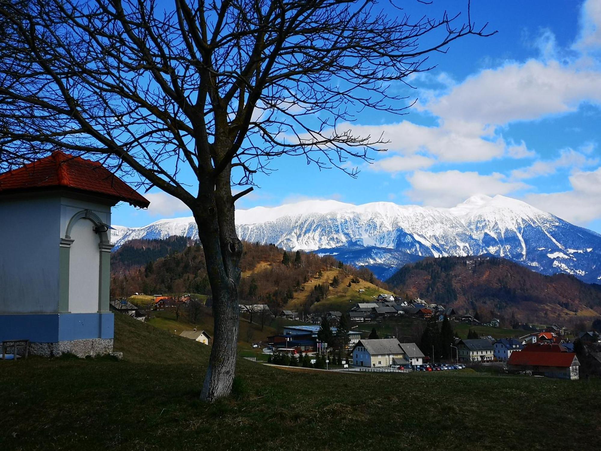 Apartmaji Volf Zgornje Gorje Dış mekan fotoğraf