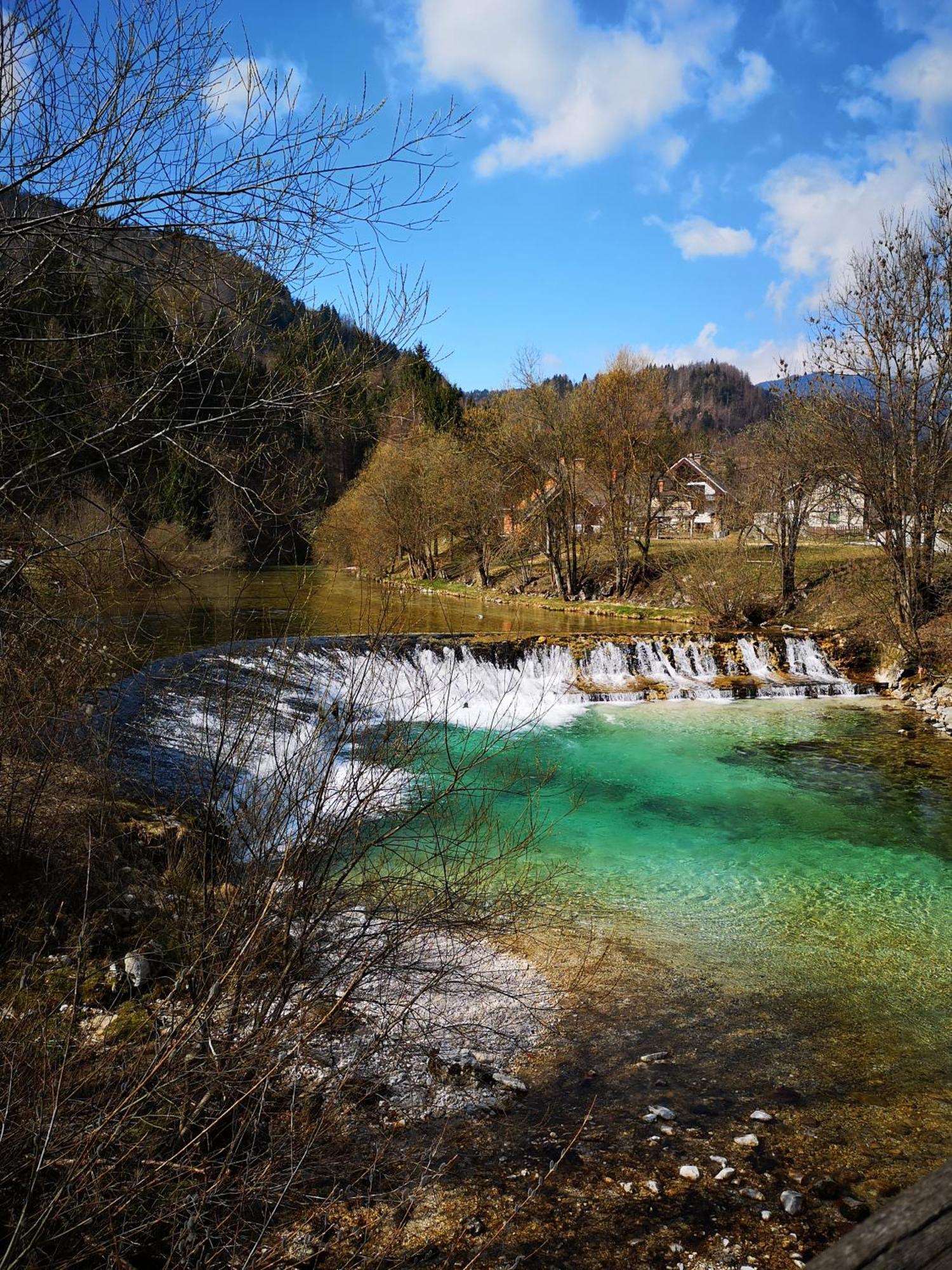 Apartmaji Volf Zgornje Gorje Dış mekan fotoğraf