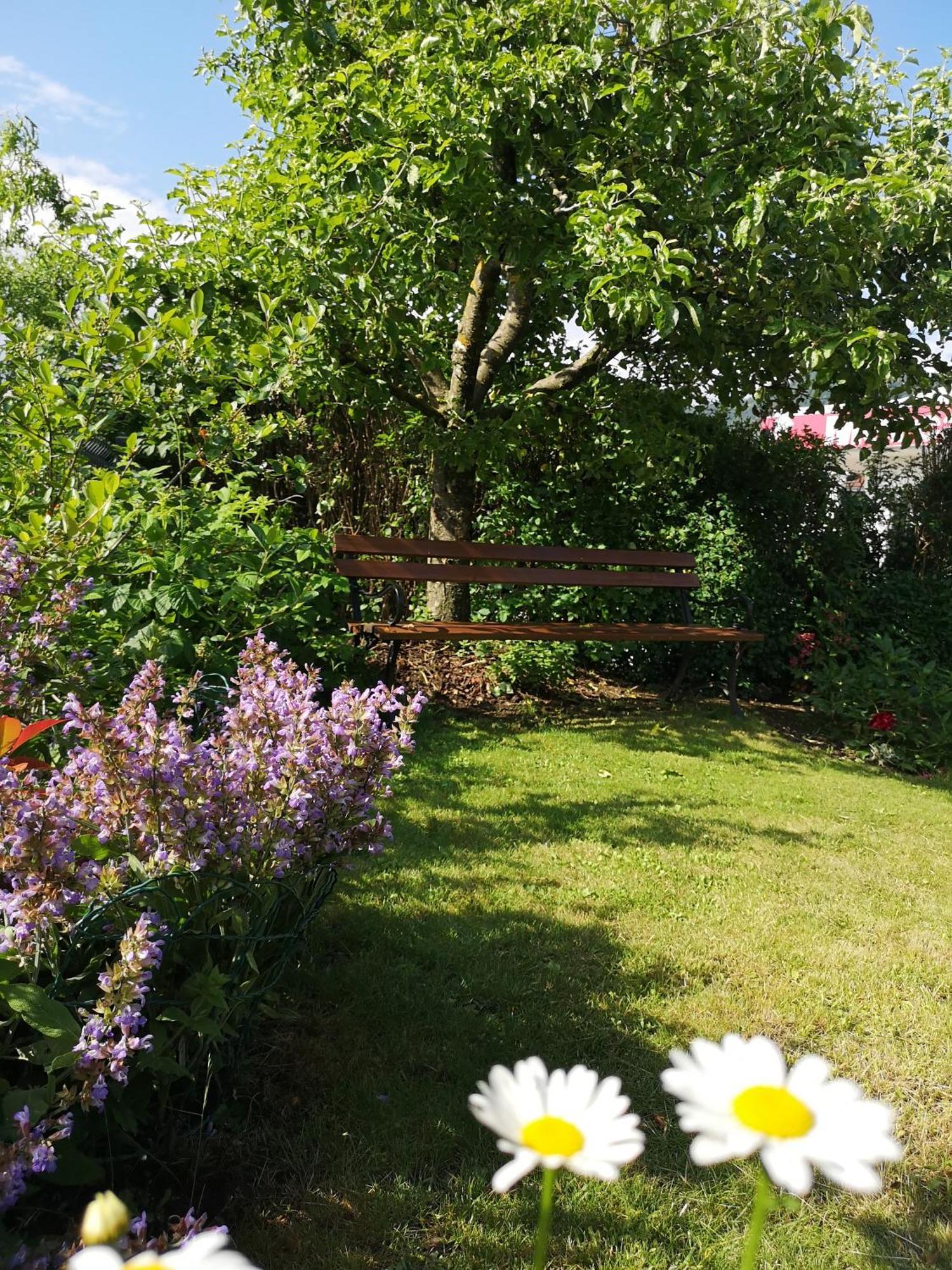 Apartmaji Volf Zgornje Gorje Oda fotoğraf