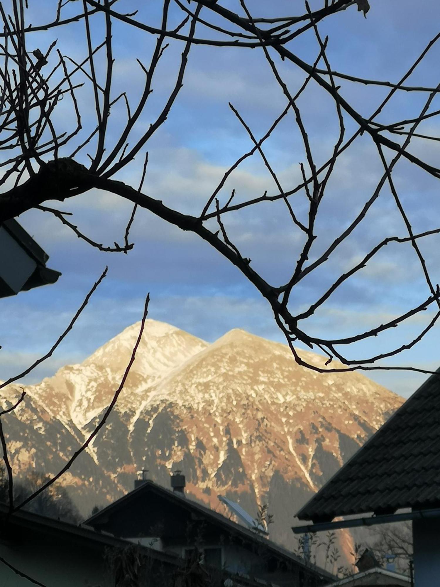 Apartmaji Volf Zgornje Gorje Dış mekan fotoğraf