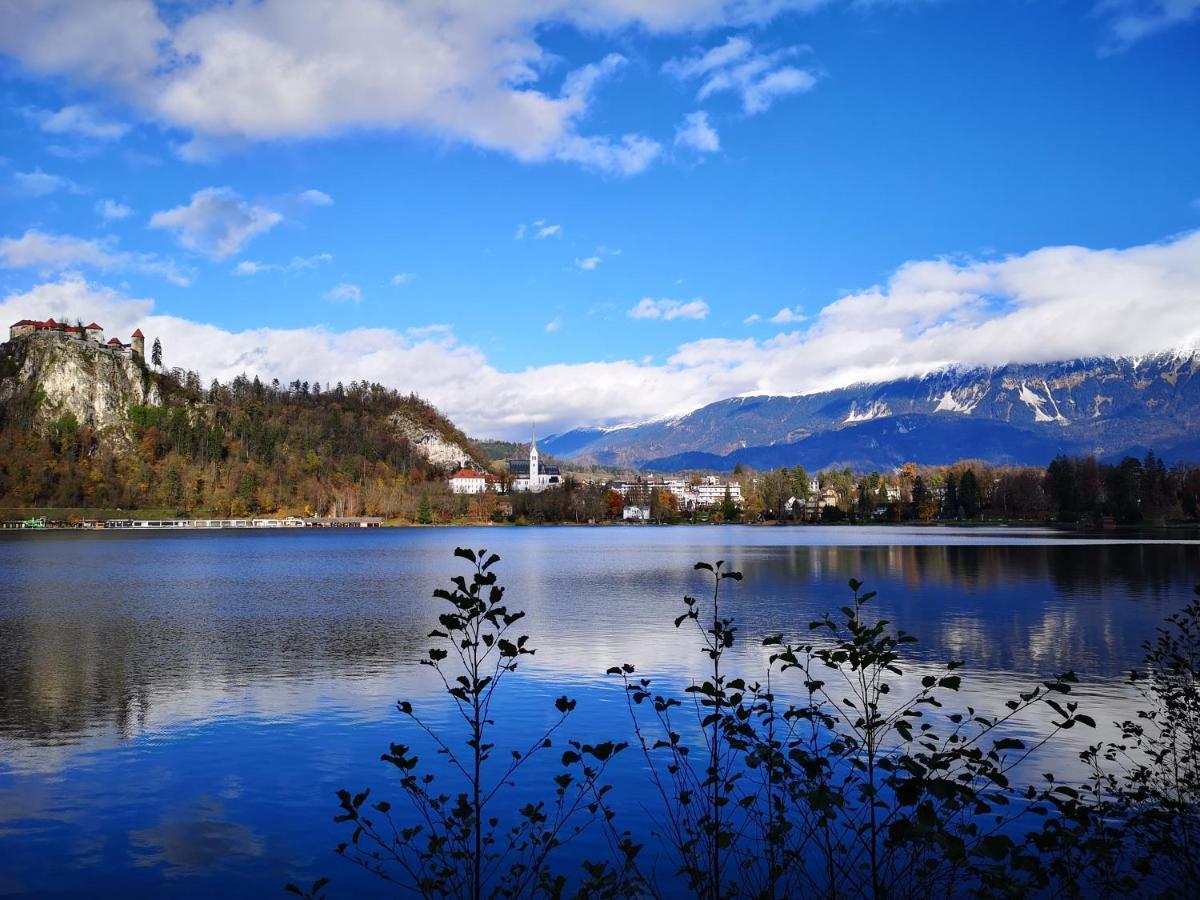 Apartmaji Volf Zgornje Gorje Dış mekan fotoğraf